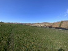 Wiese Gepflegtes Anwesen mit gro�z�gigem Grundst�ck: Ideal f�r Tierhaltung und Pferdebesitzer