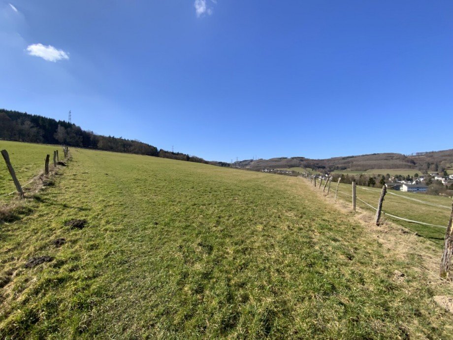 Wiese Mehrfamilienhaus Plettenberg