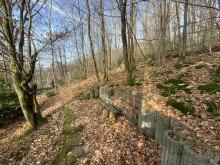 Wald Familienidylle mit viel Gr�n - Einfamilienhaus auf gro�em, vielseitigem Grundst�ck