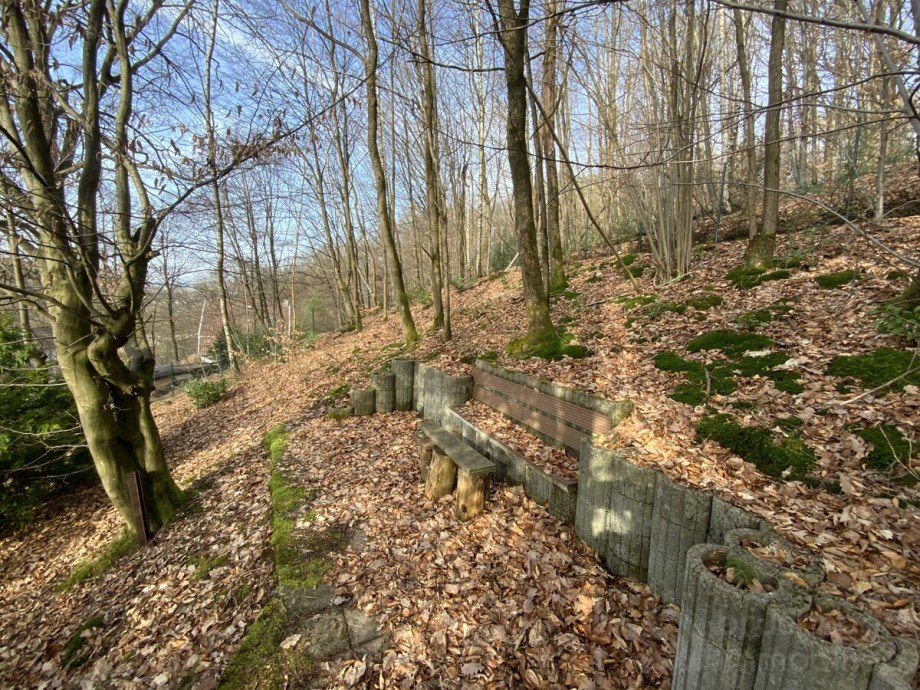 Wald Einfamilienhaus L�denscheid