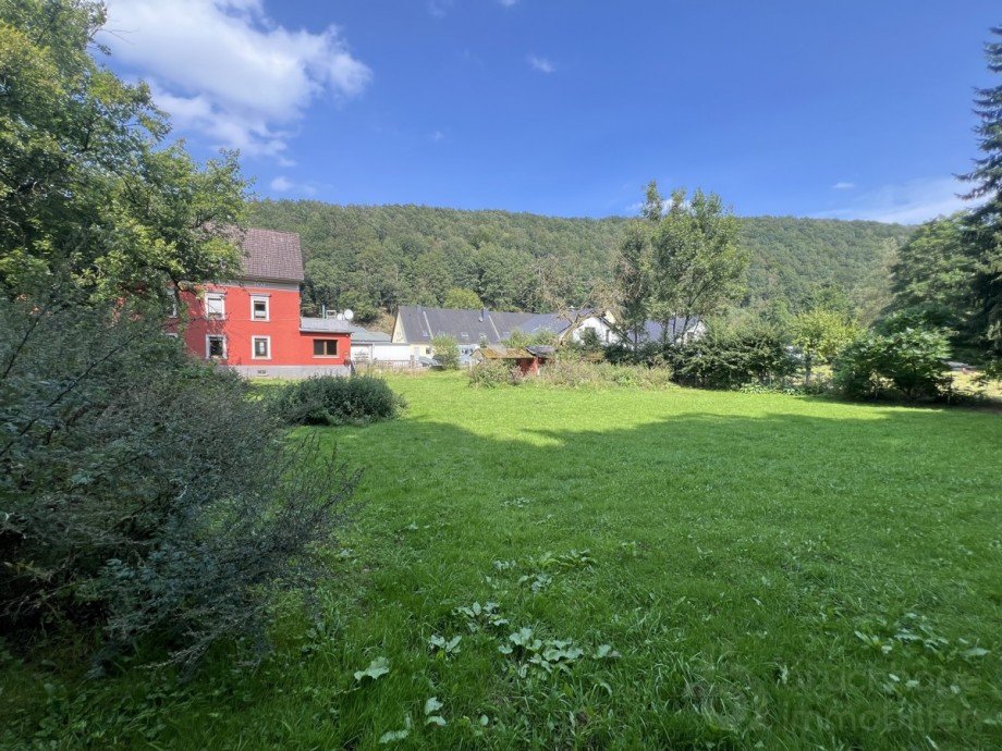 Wiese Mehrfamilienhaus L�denscheid