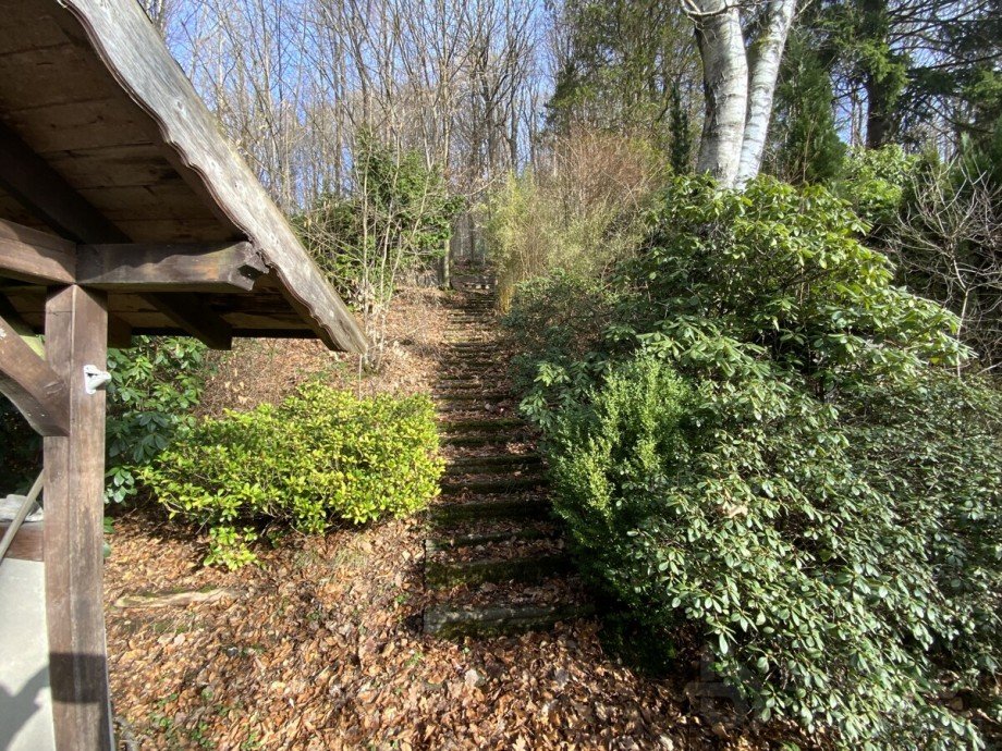 Garten Einfamilienhaus L�denscheid