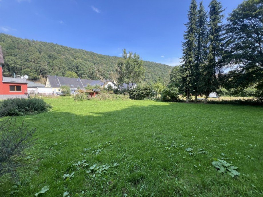 Wiese Mehrfamilienhaus L�denscheid